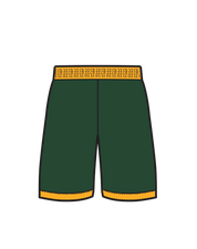 Youth Nike Playing Shorts (Sydney Comets)
